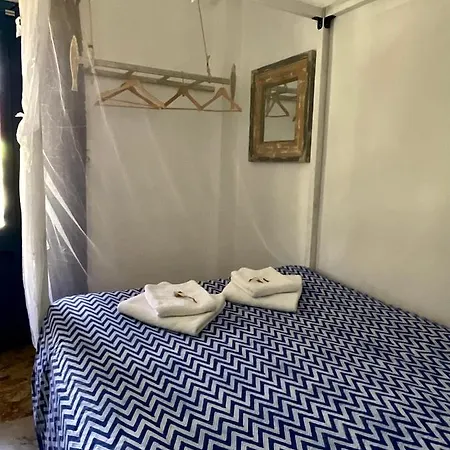 Chez Cecile * Mokhlos