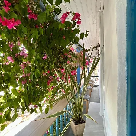 Chez Cecile *